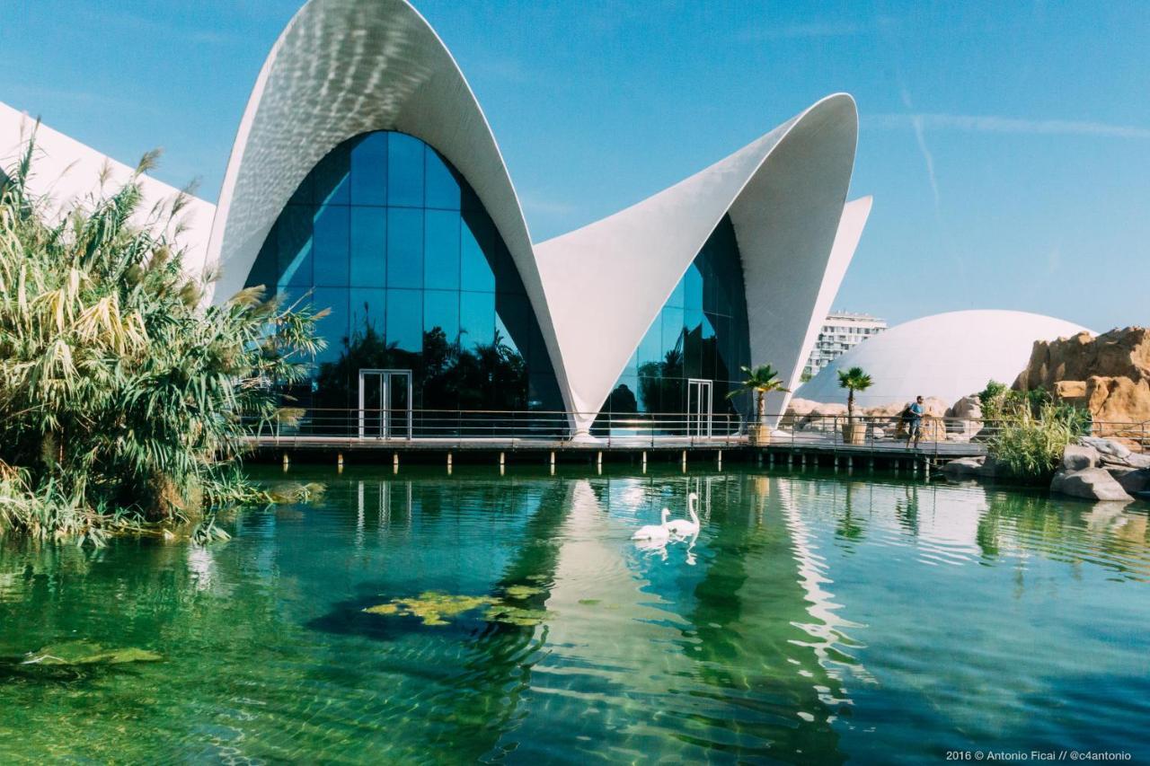 Jl Ciudad De Las Artes Valência Exterior foto